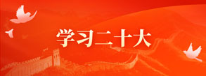 學(xué)習(xí)二十大